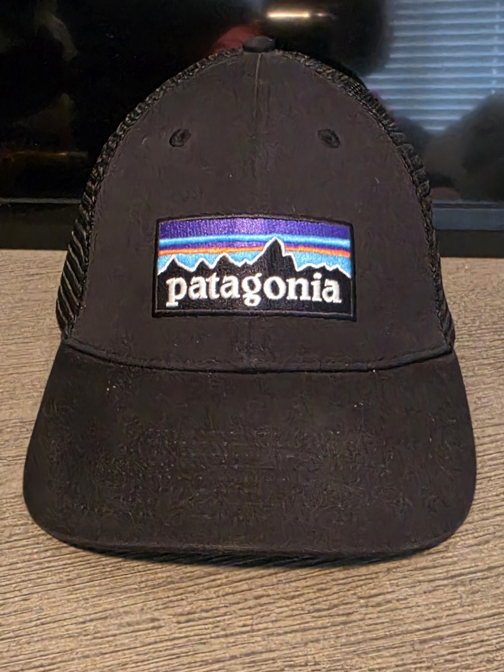 Patagonia Black Trucker Hat with Mountain Logo